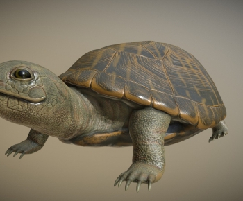Modern Reptile-ID:384893896