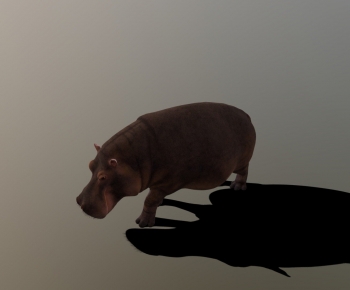 Modern Animal-ID:535976899