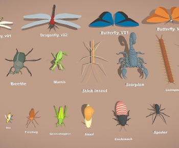 Modern Animal-ID:144457102