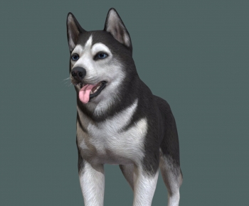 Modern Animal Dog-ID:485341075