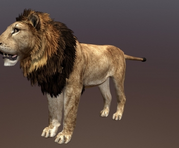 Modern Mammal-ID:969620948