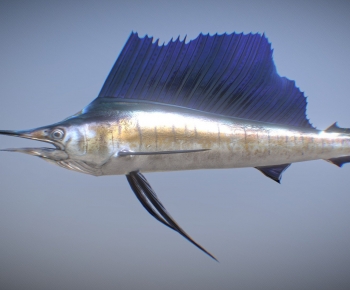 Modern Aquatic Animals-ID:507638936