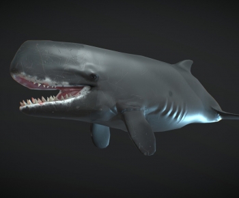 Modern Aquatic Animals-ID:925236942