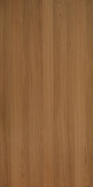 ModernWood Texture