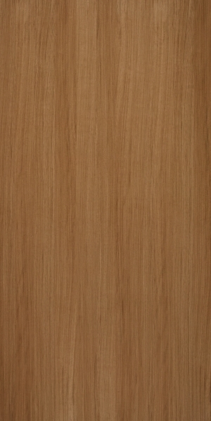 ModernWood Texture
