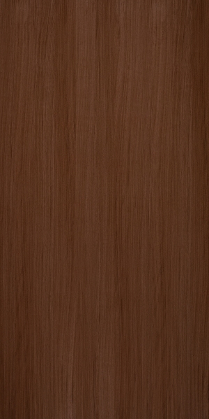 ModernWood Texture