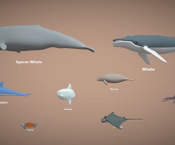Modern Animal-ID:491966968