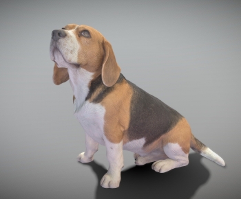 Modern Animal Dog-ID:723886013