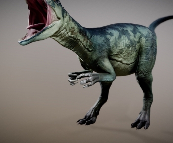 Modern Other Animals-ID:120029937