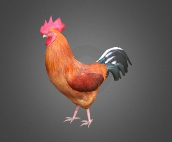 Modern Poultry Animal-ID:621877912