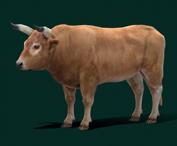 Modern Mammal-ID:471681128
