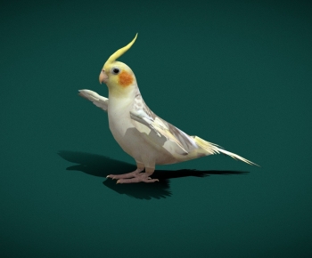 Modern Flying Animals-ID:217201954