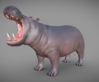 Modern Animal-ID:317023995