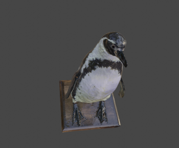 Modern Animal-ID:141599895