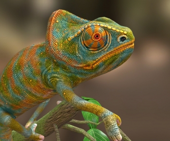 Modern Reptile-ID:495131026