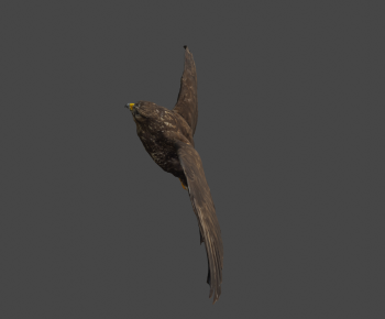 Modern Animal-ID:626472955