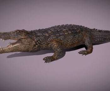 Modern Animal-ID:669783127