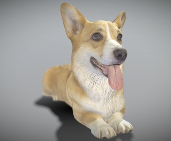 Modern Animal Dog-ID:270761019