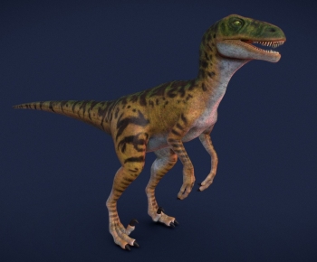 Modern Animal-ID:213980919