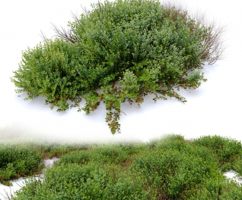 Modern Shrubbery-ID:731609115