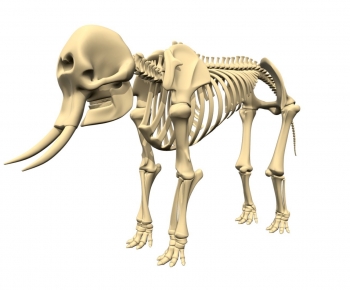 Modern Medical Equipment-ID:575002918