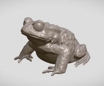Modern Aquatic Animals-ID:184071064
