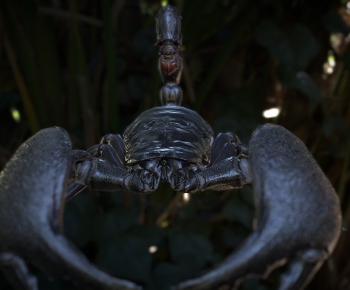Modern Reptile-ID:812755116