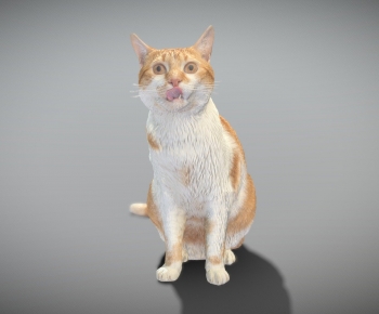 Modern Animal-ID:325661903