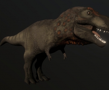 Modern Animal-ID:425431978