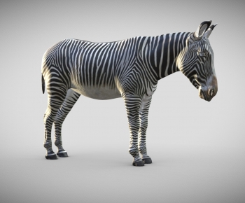 Modern Animal Horse-ID:795171022