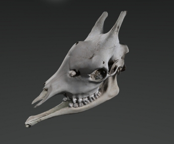 Modern Medical Equipment-ID:771728992