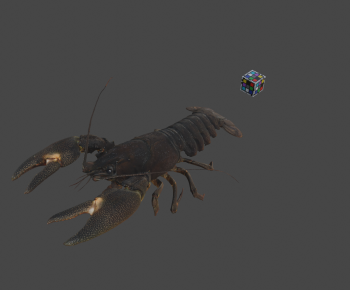 Modern Animal-ID:494493012