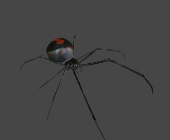 Modern Other Animals-ID:250844007