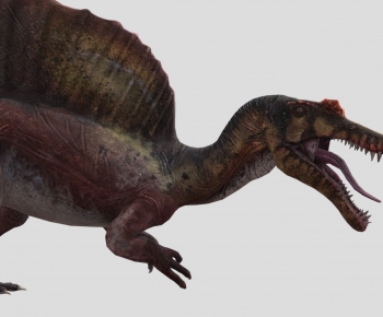 Modern Animal-ID:743197924