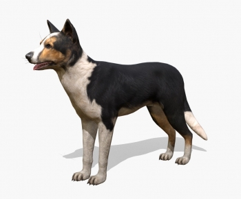 Modern Animal Dog-ID:488718997