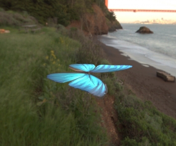 Modern Animal-ID:325500978