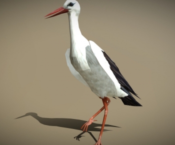 Modern Flying Animals-ID:127542978