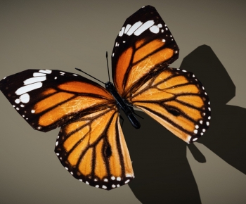 Modern Animal-ID:747216942