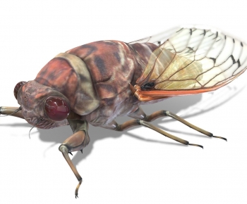 Modern Animal-ID:468499712