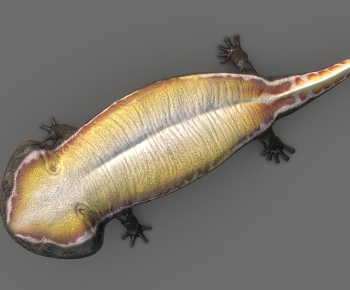Modern Animal-ID:883488899