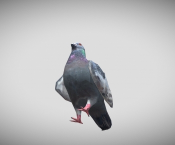 Modern Flying Animals-ID:666276937