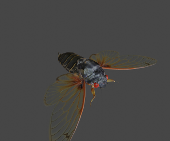 Modern Animal-ID:486502898