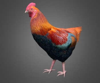 Modern Poultry Animal-ID:424555061