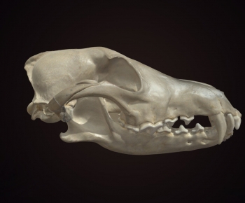 Modern Medical Equipment-ID:104429716