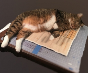Modern Animal-ID:797086005