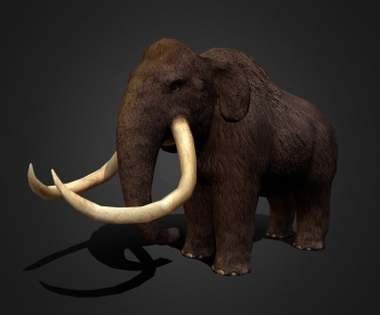 Modern Mammal-ID:321410897