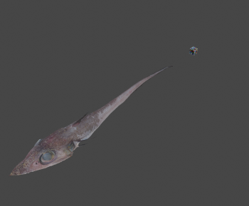Modern Aquatic Animals-ID:826123953