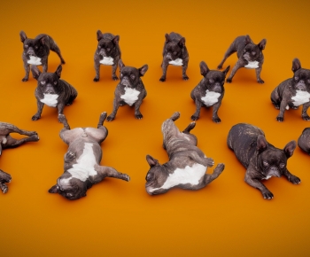 Modern Animal-ID:896526103