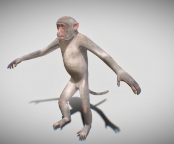 Modern Mammal-ID:140418053