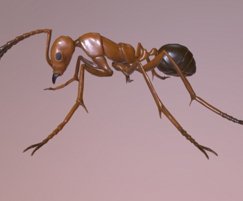 Modern Animal-ID:431304937